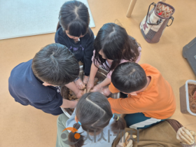 f_단계적 무상교육비 확대.png