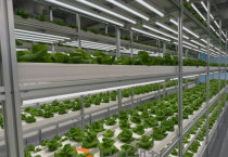 f_3. 대전시, 도심형 스마트팜 ‘대전팜’ 확대 추진 1.png