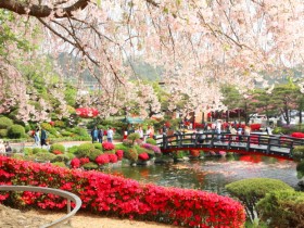 봄 여행은 세종으로 오세요~